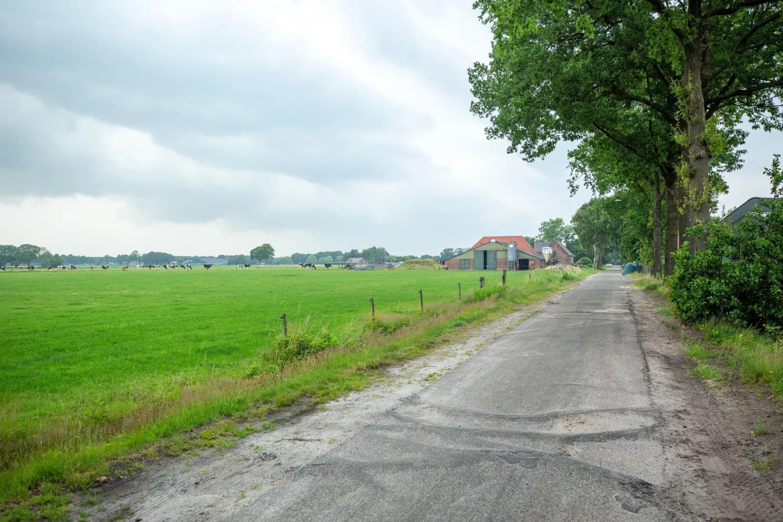 NR 4-Gebieden zomer 1km