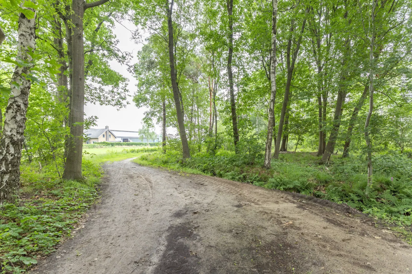 NR 4-Gebieden zomer 5km