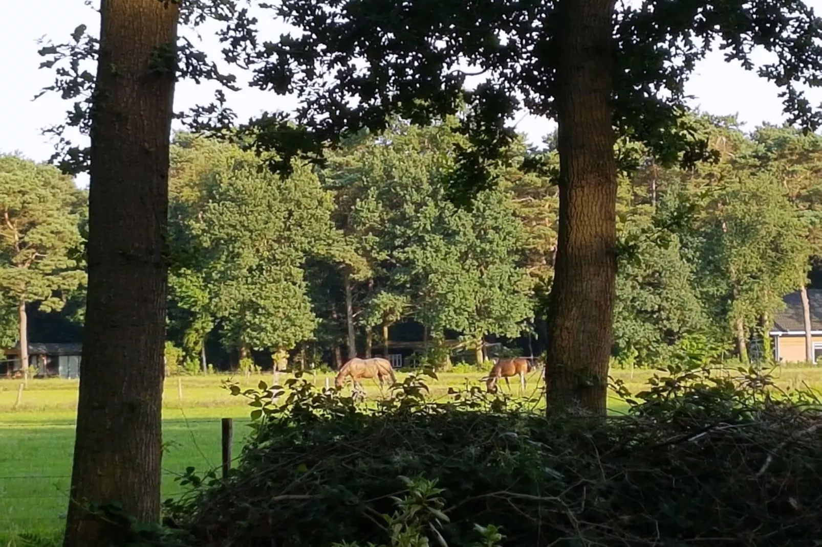 L'Oiseau Bleu-Uitzicht zomer