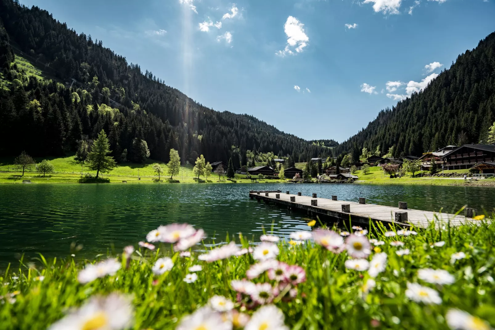 STUDIO PORTES DU SOLEIL PDS195B-Gebieden zomer 1km