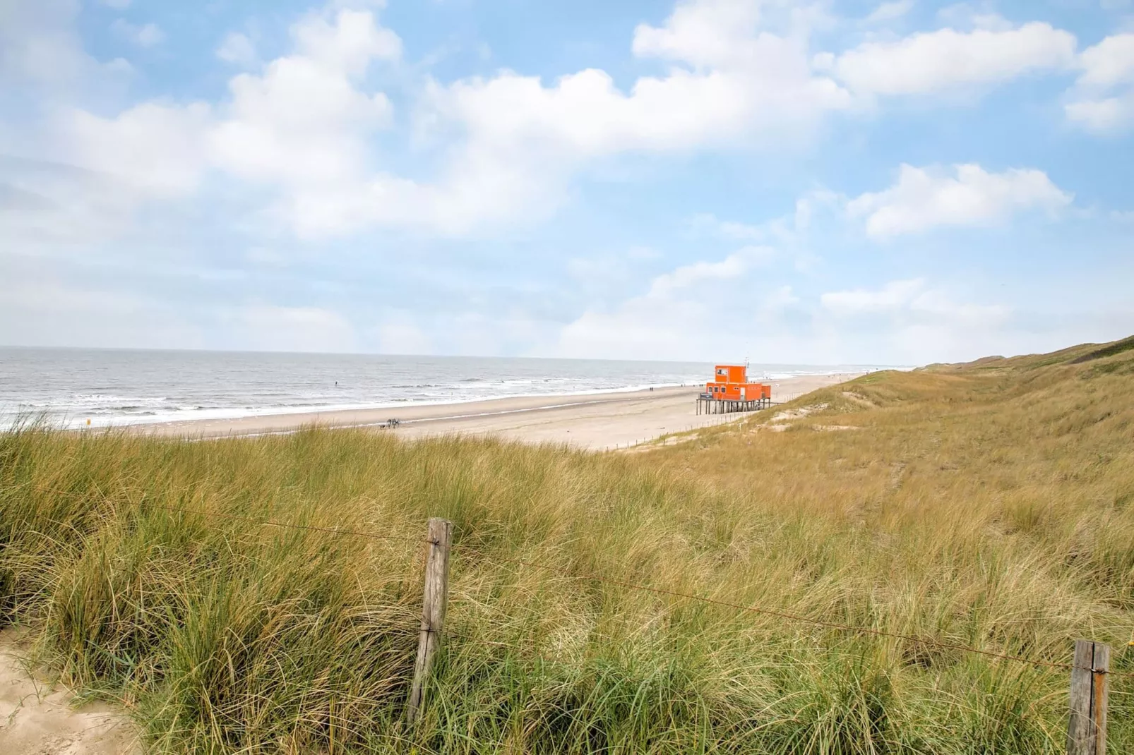 Vrijzicht-Gebieden zomer 5km