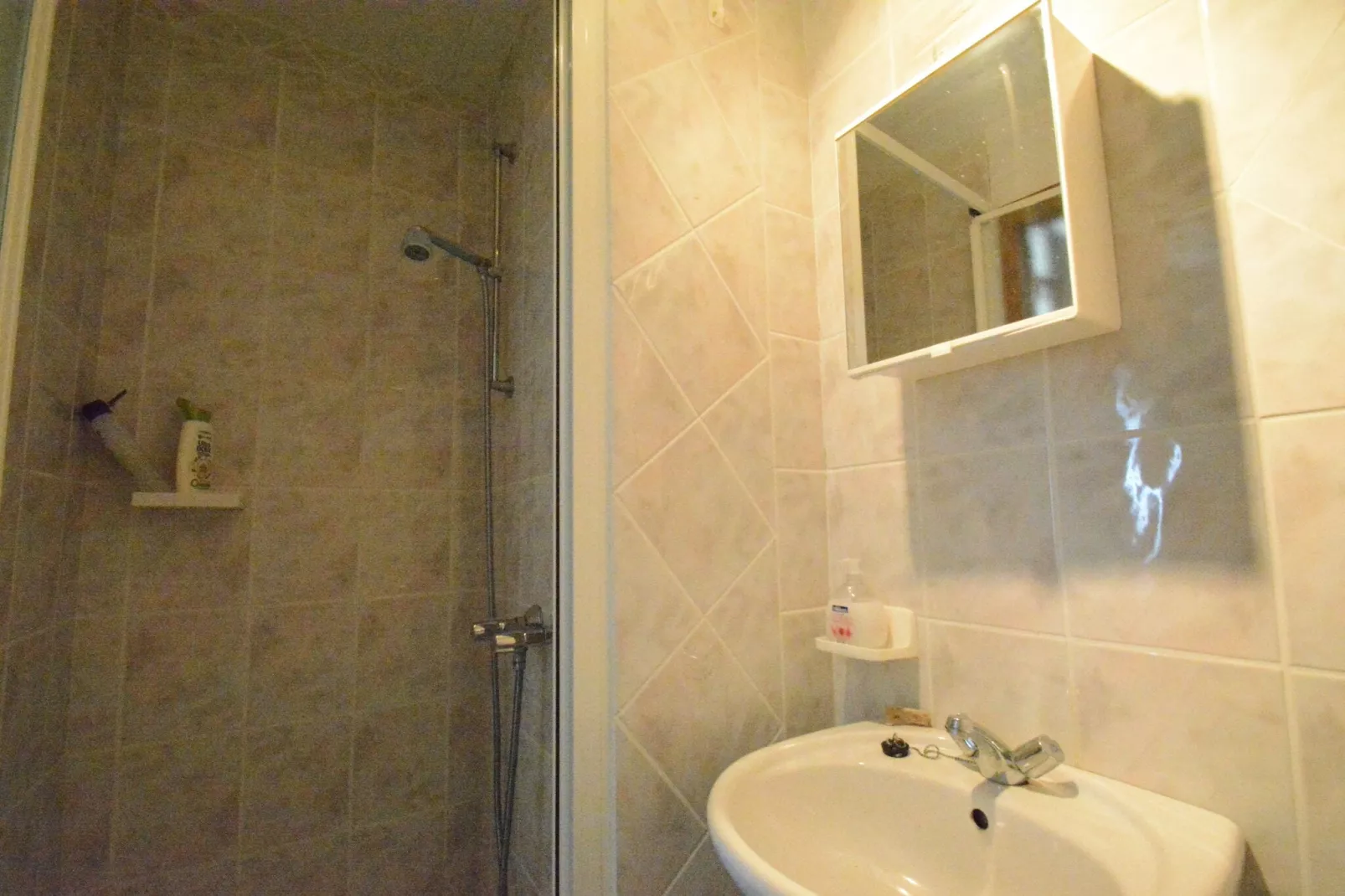 Le Crupet 29-Badkamer