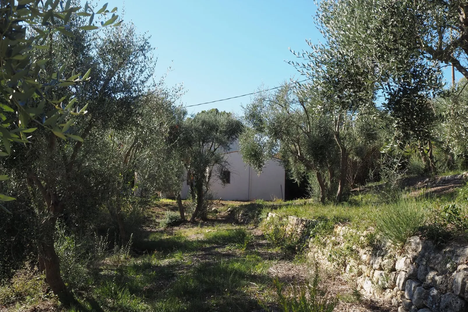 Ferienhaus in Le Tignet-Tuinen zomer