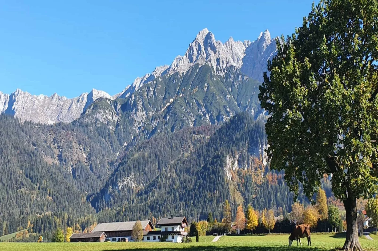 Ferienwohnung am Bio-Bauernhof-Buitenkant zomer