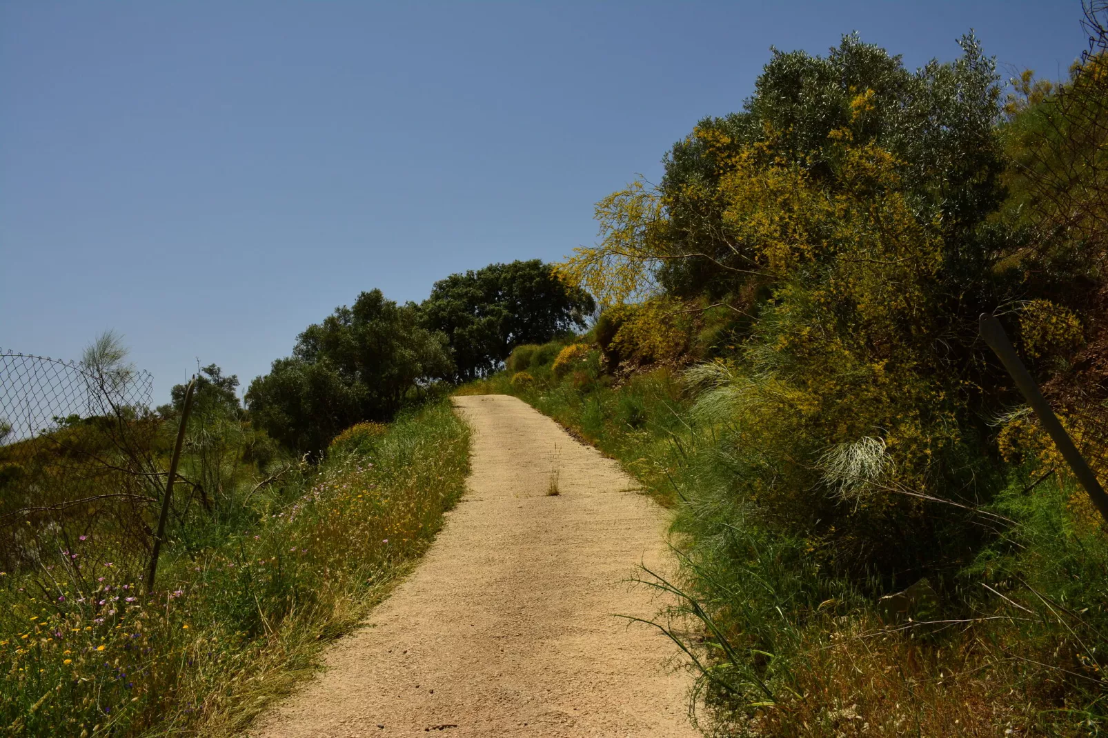 Villa Montes de Málaga-Tuinen zomer