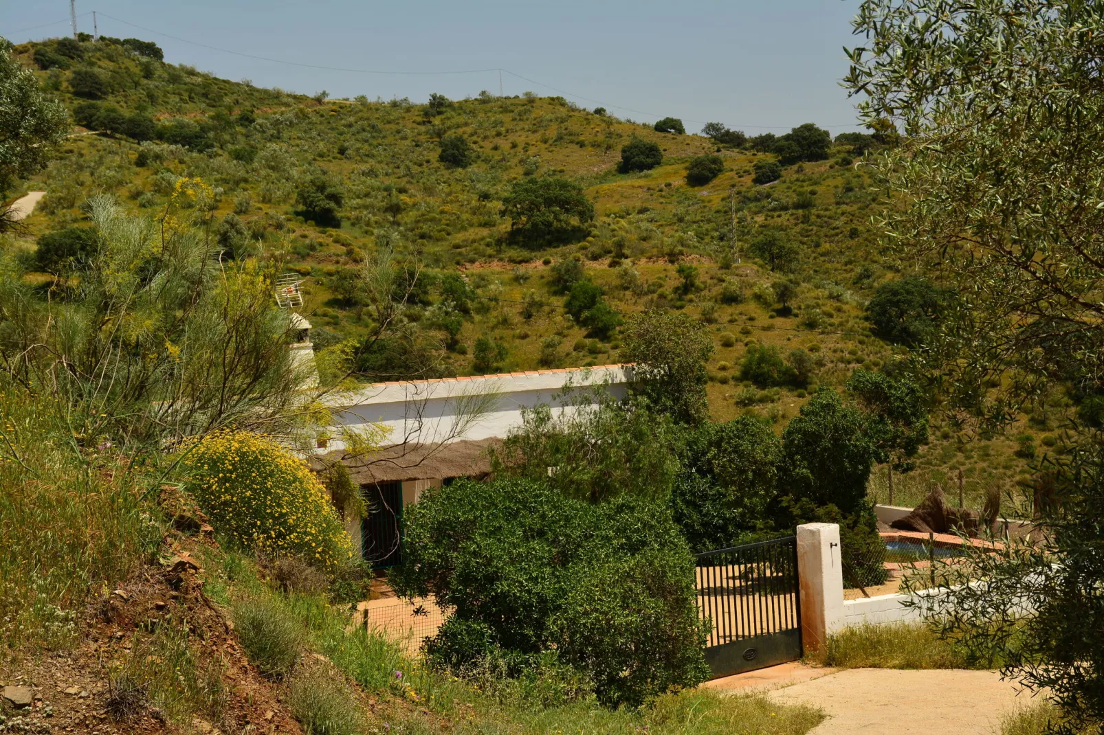 Villa Montes de Málaga-Tuinen zomer