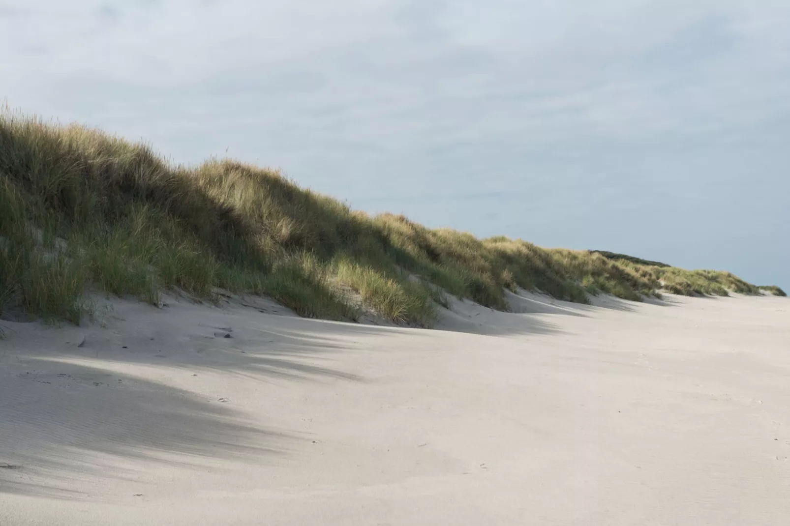 Vlielandse Duinvilla-Gebieden zomer 1km