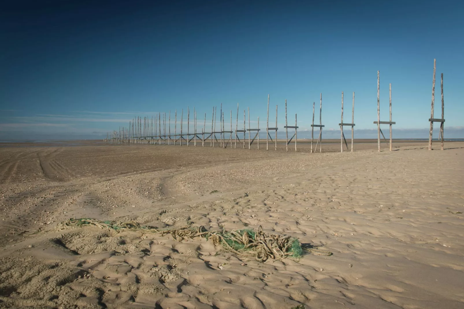 Vlielandse Duinvilla-Gebieden zomer 1km