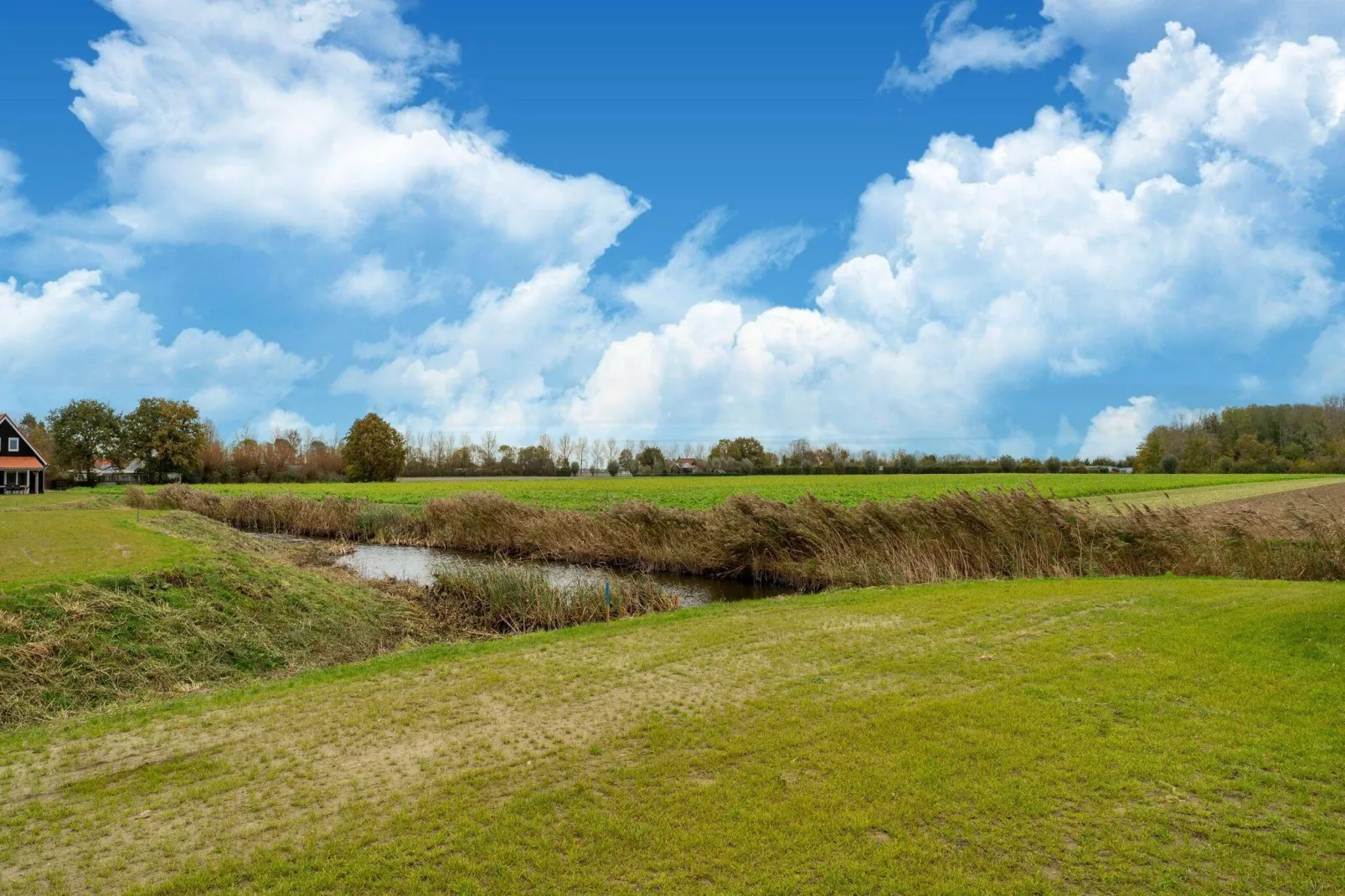 De Reiger Huis Nr 46-Tuinen zomer