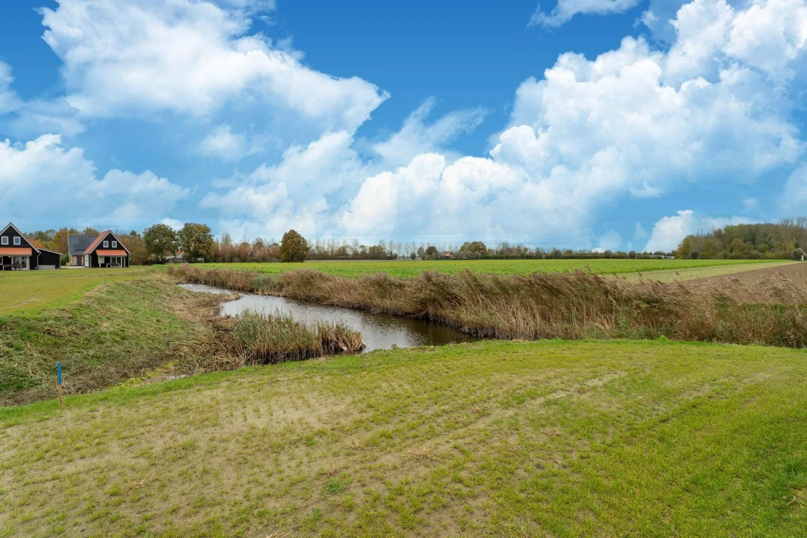 De Reiger Huis Nr 46-Uitzicht zomer