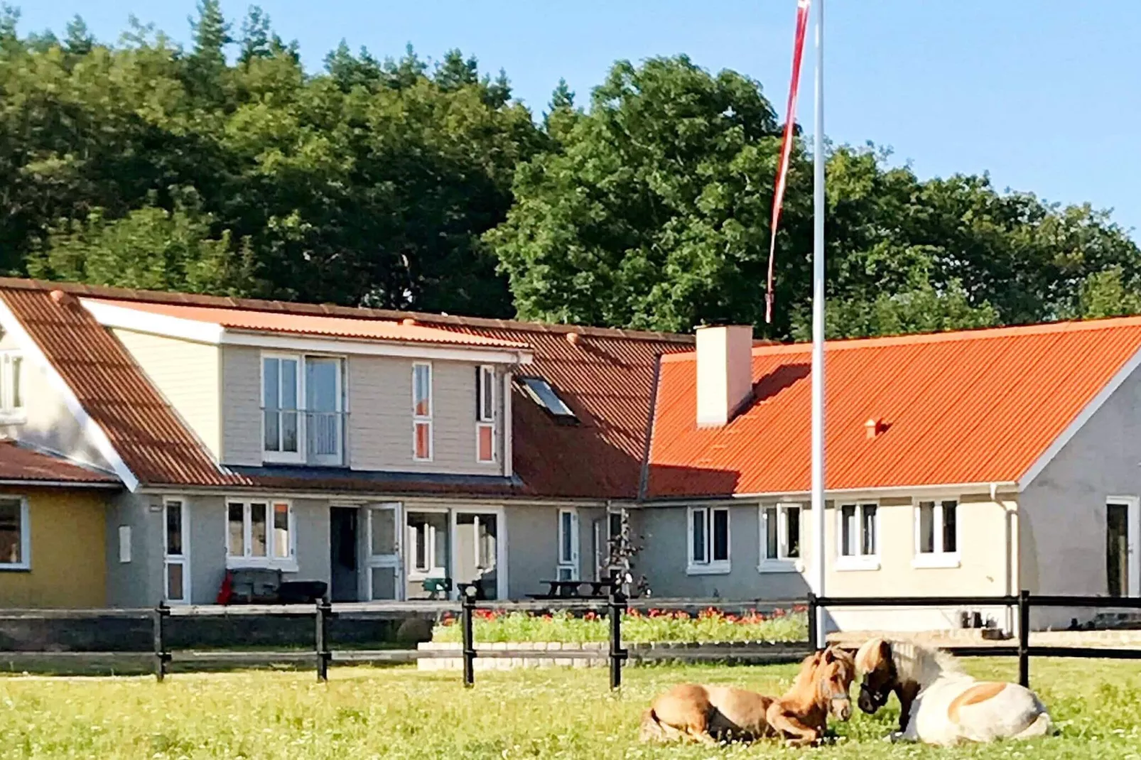 4 persoons vakantie huis in Frederikshavn