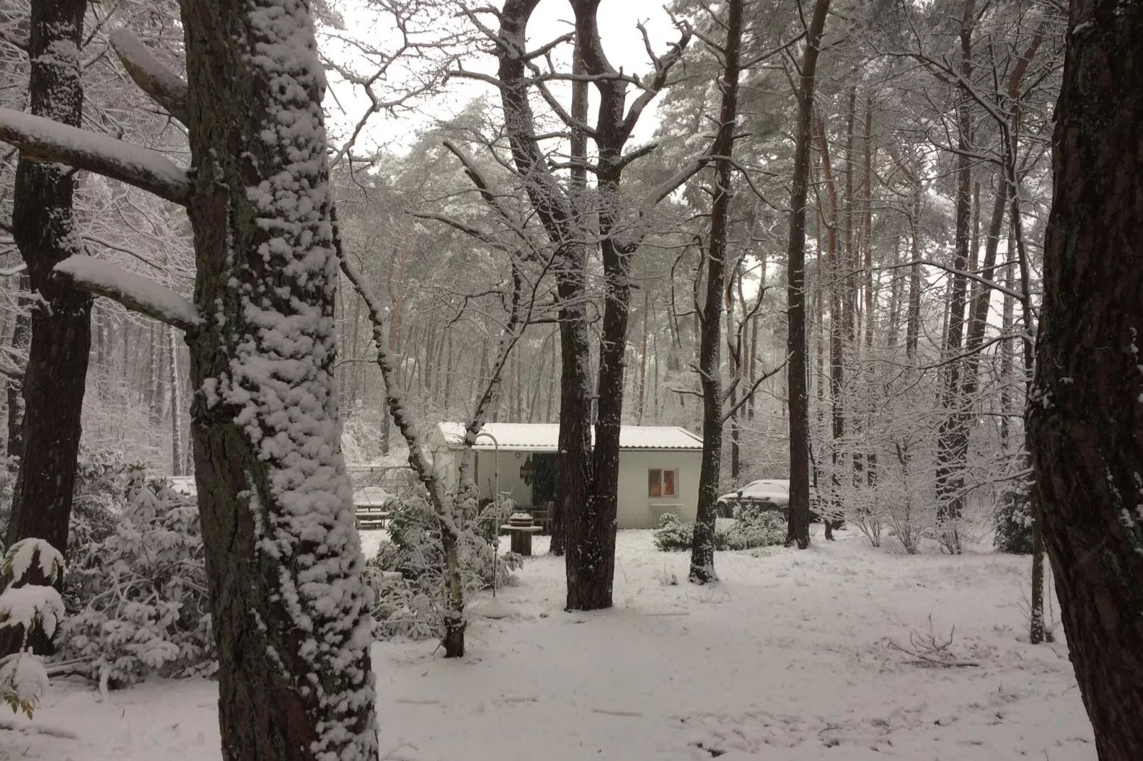 Het Beerenbos-Exterieur winter