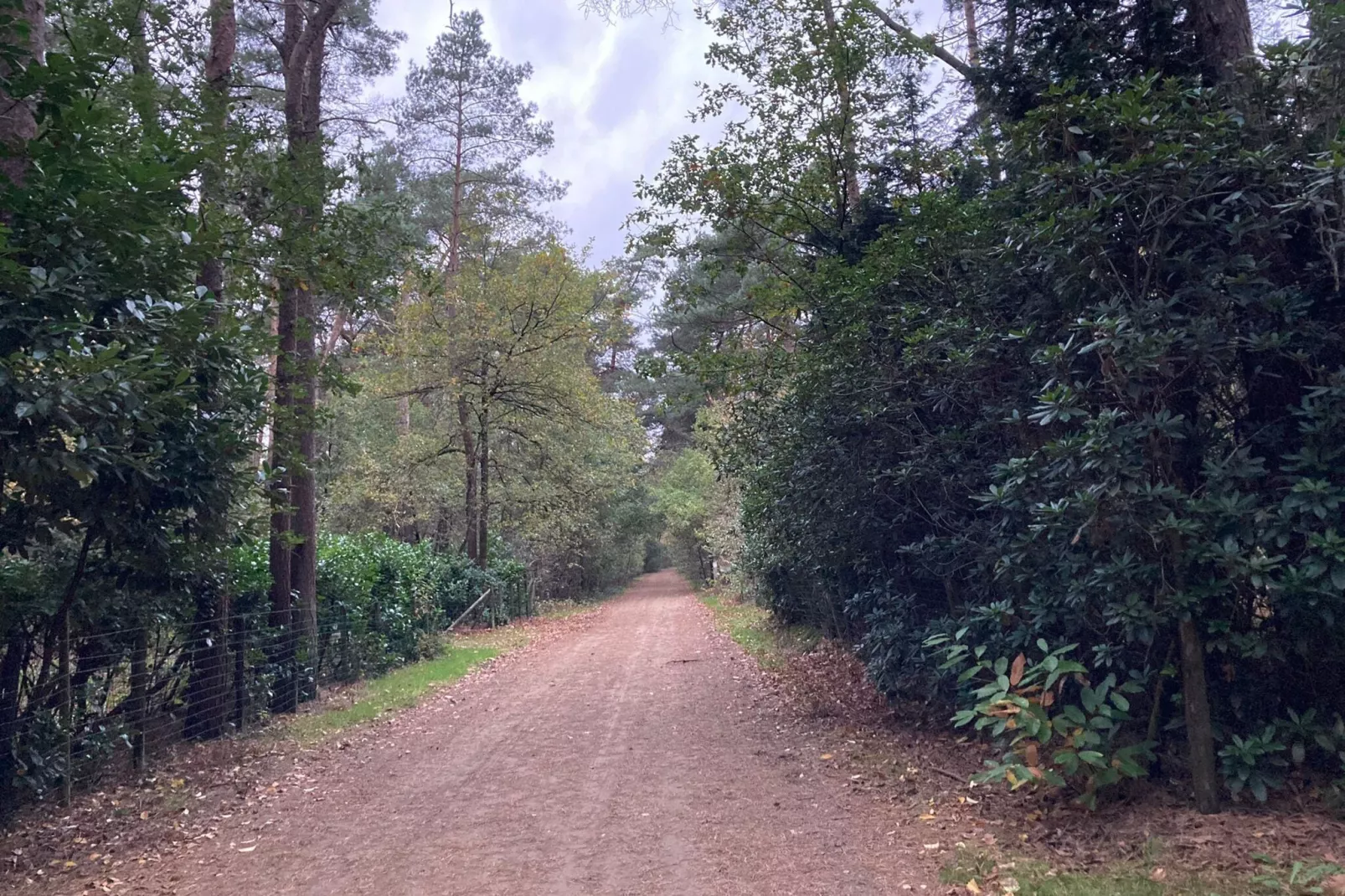 Het Beerenbos-Gebieden zomer 5km