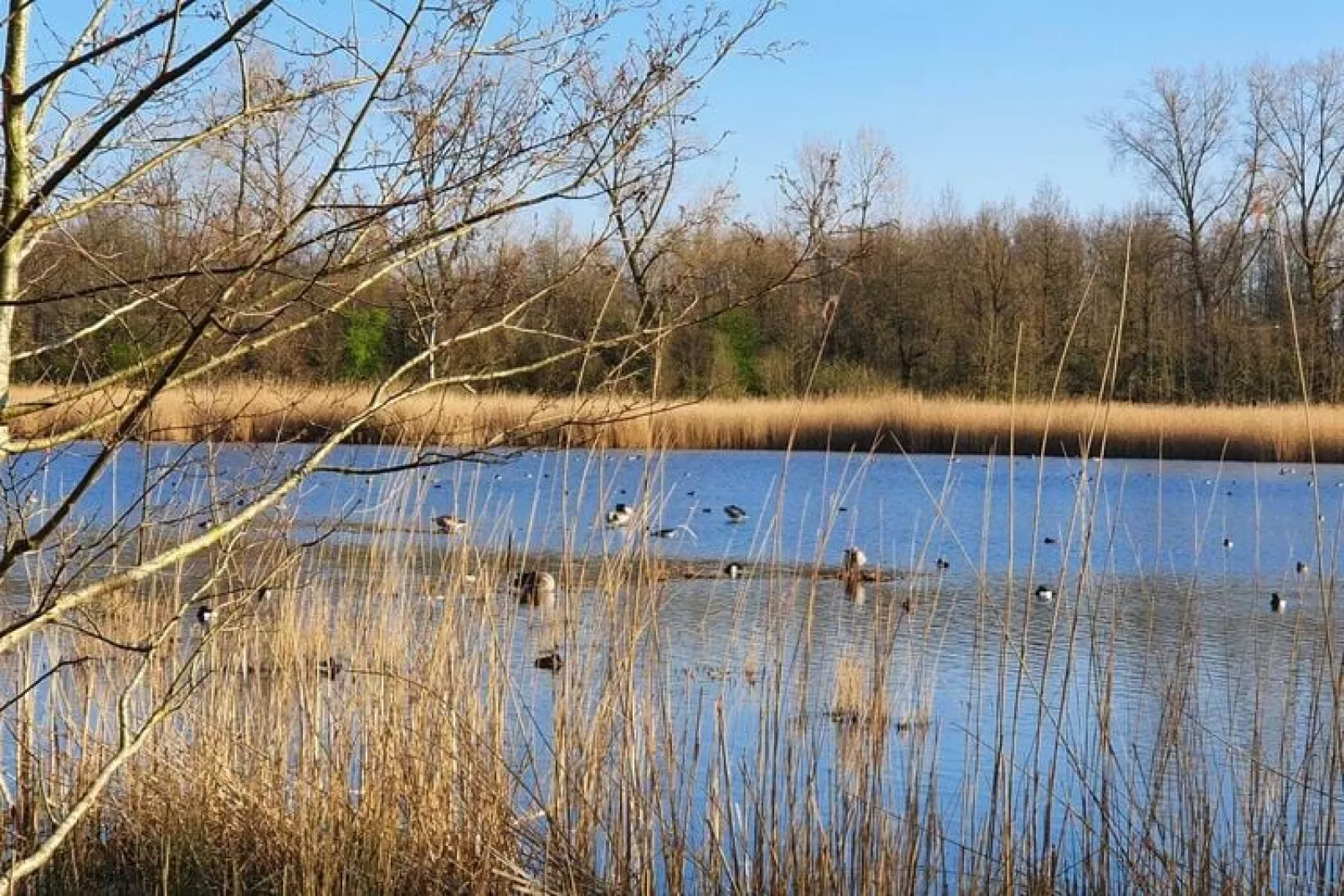 Watervilla Calore 575-Gebieden zomer 5km