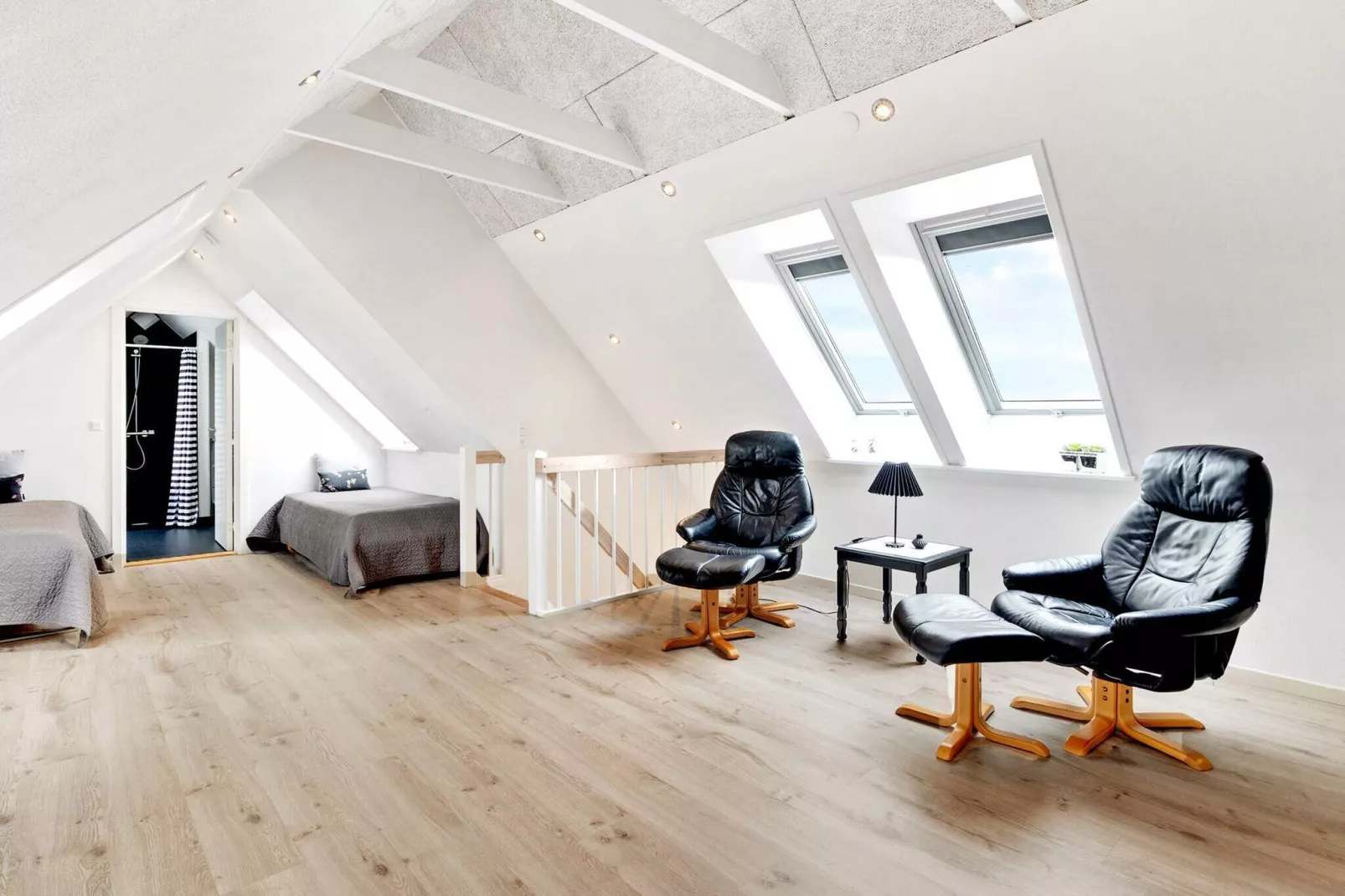 12 persoons vakantie huis in Skagen-Binnen