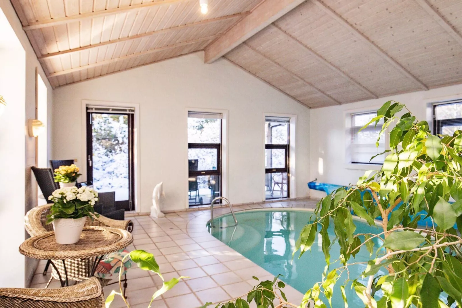 12 persoons vakantie huis in Pandrup-Zwembad