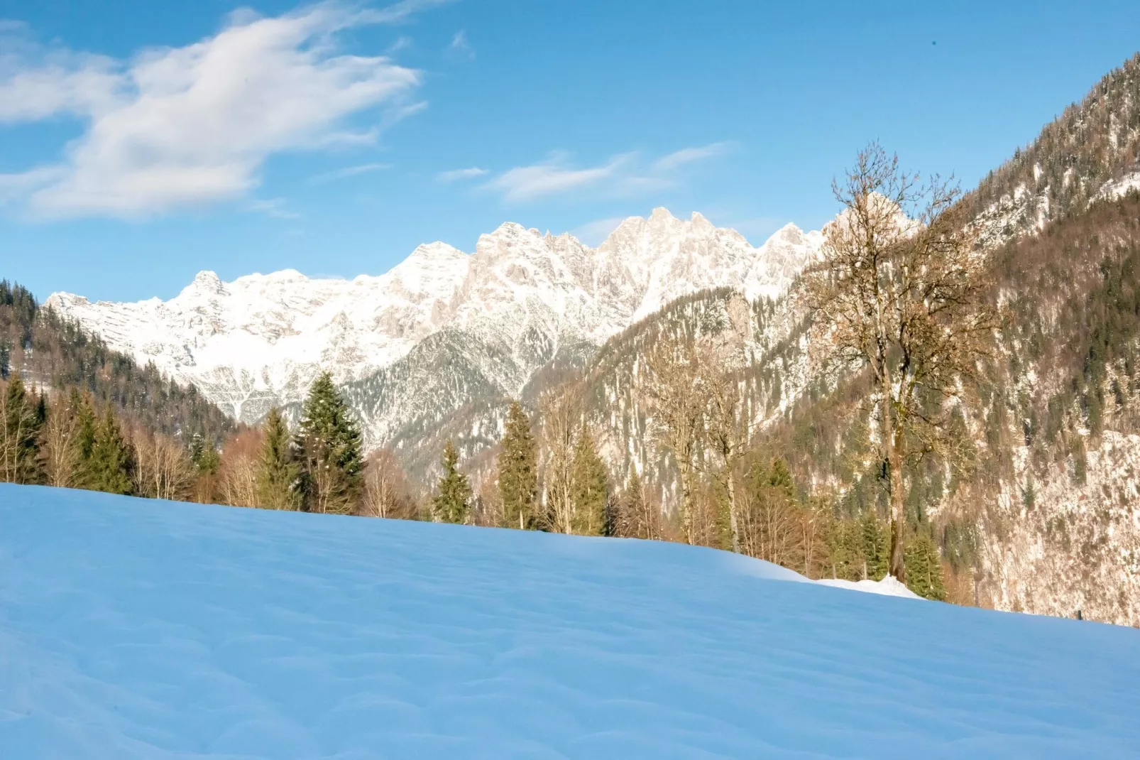 Bauernhaus Hochfilzen-Tuin winter