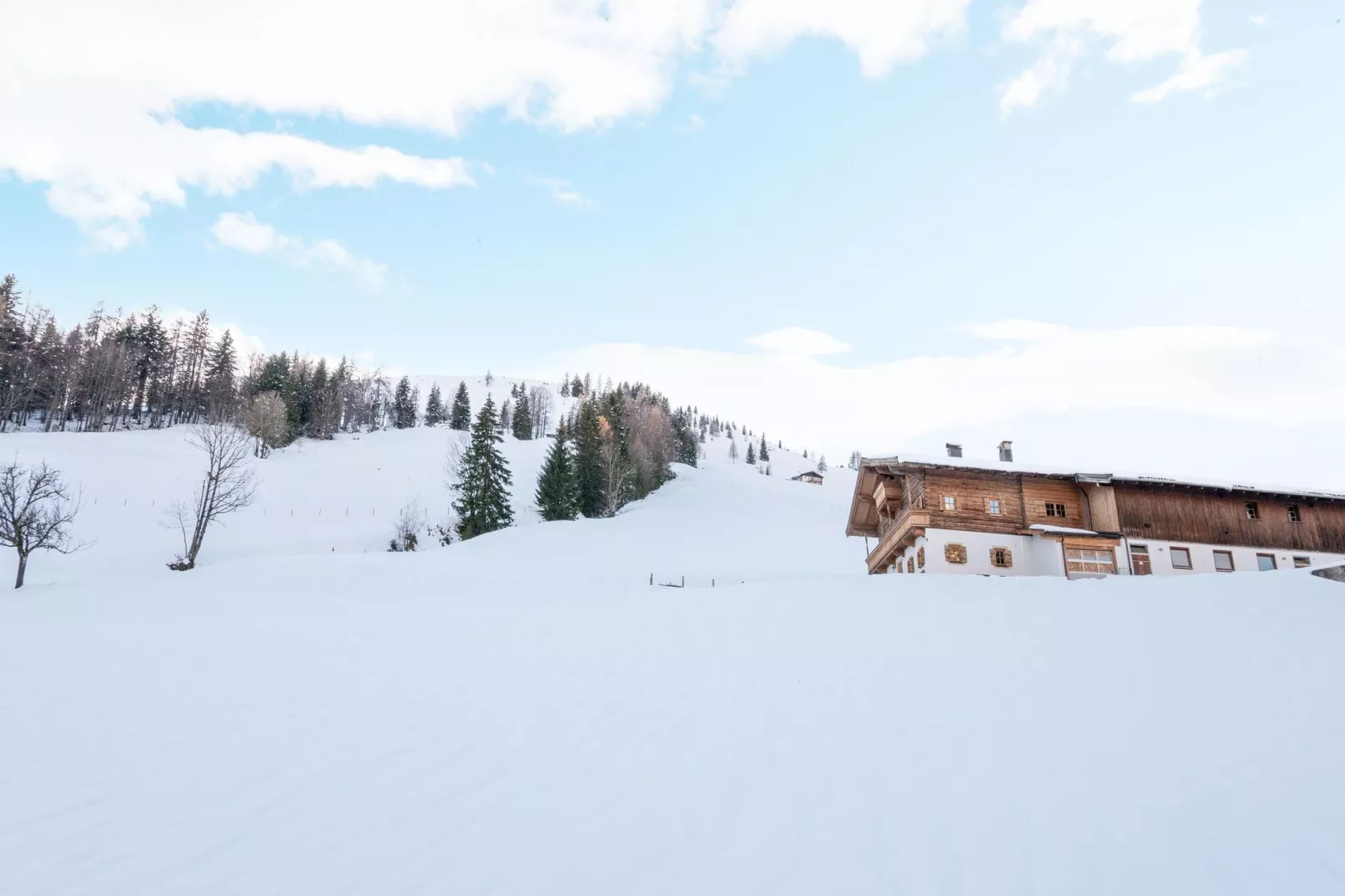 Bauernhaus Hochfilzen-Tuin winter