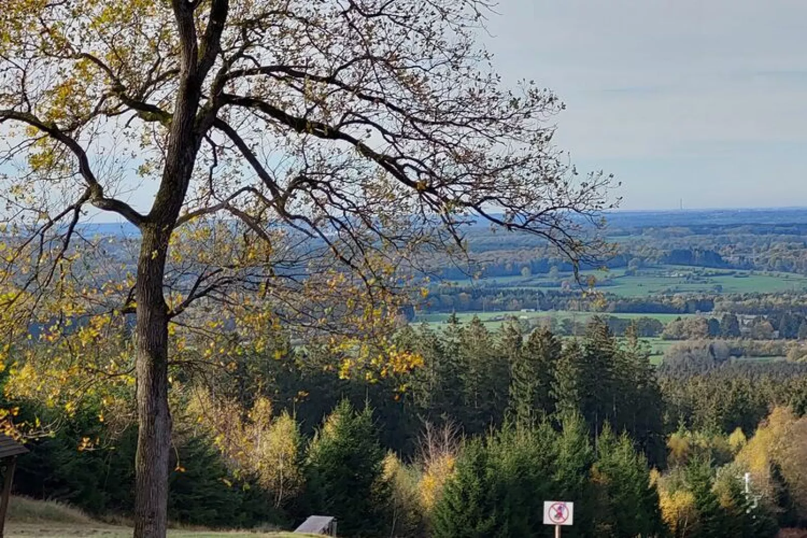 Ardennes Bleu 8 pers maximum-Uitzicht zomer