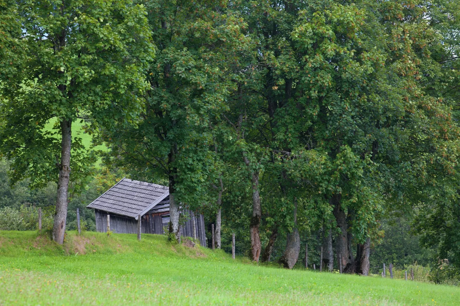 Entleitenhof xl-Uitzicht zomer