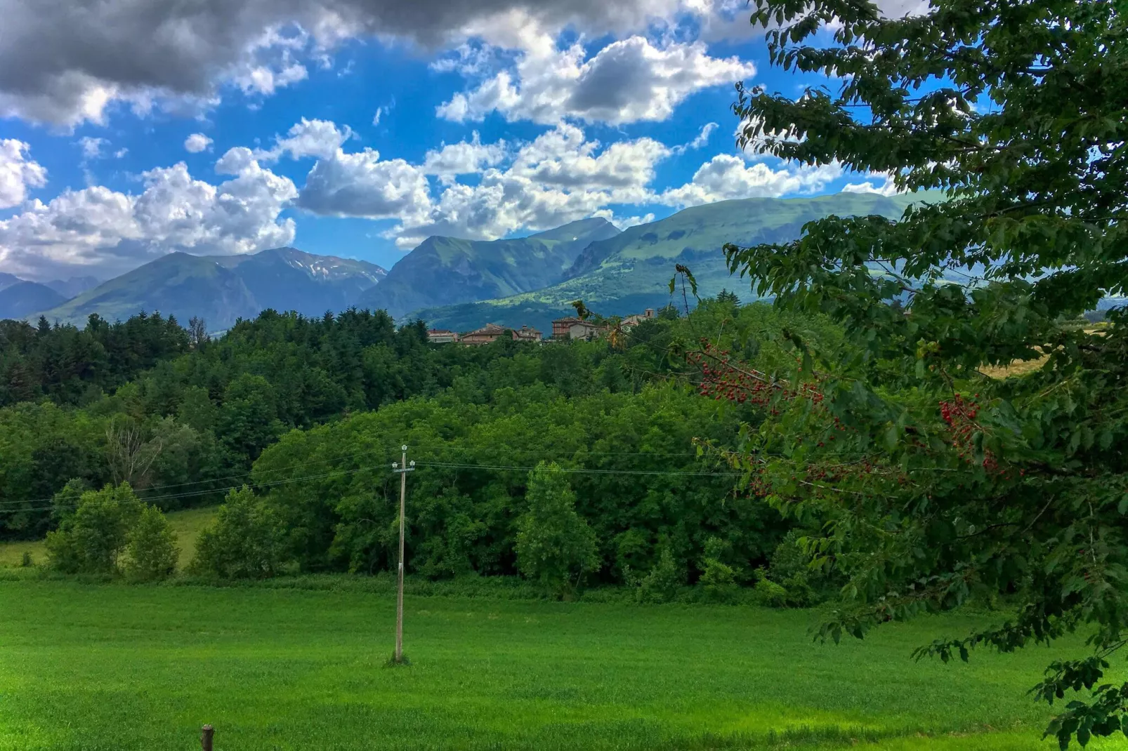 Villa Faggio 8-Tuinen zomer