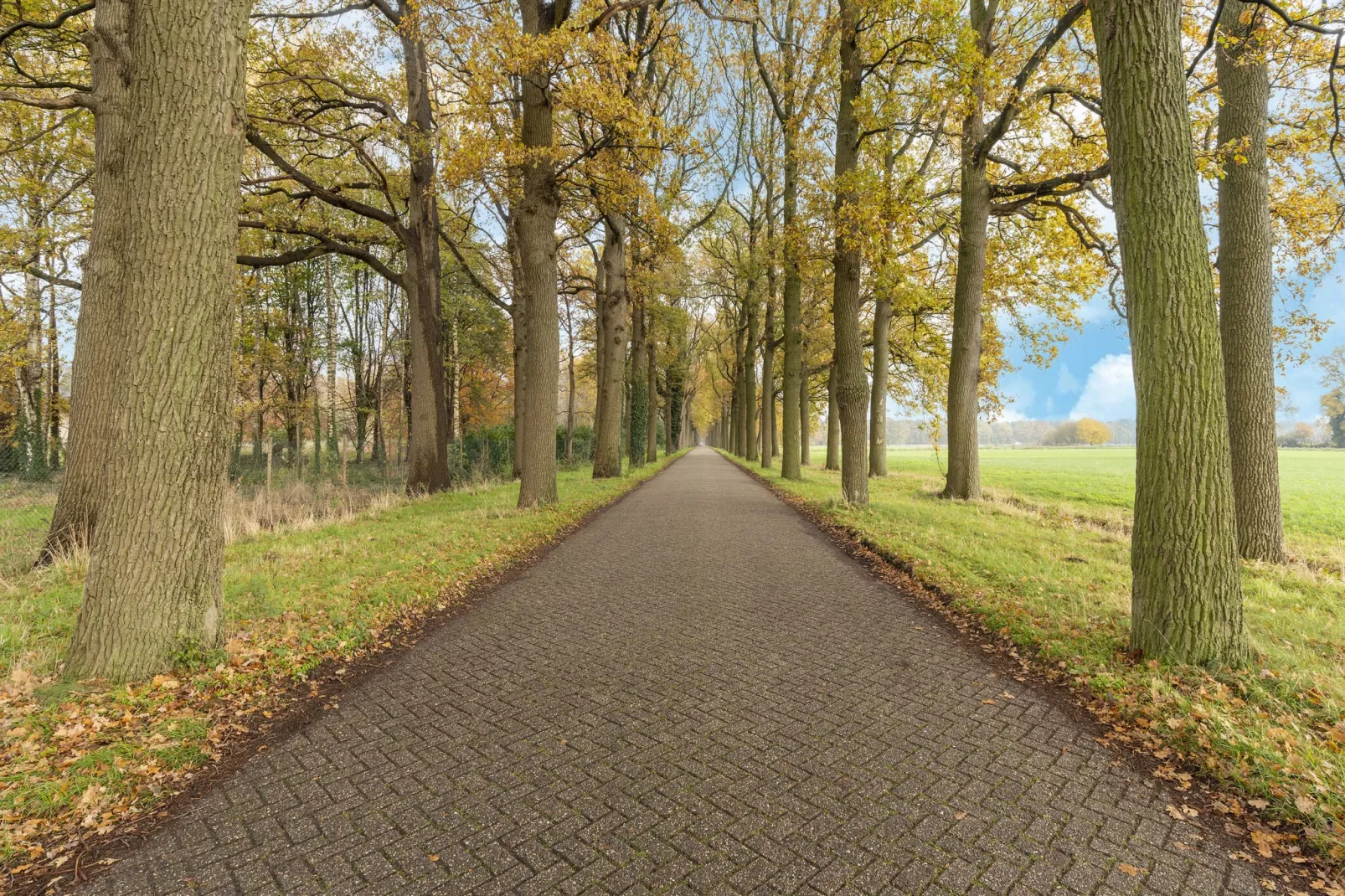 De Weldadigheid-Gebieden zomer 5km