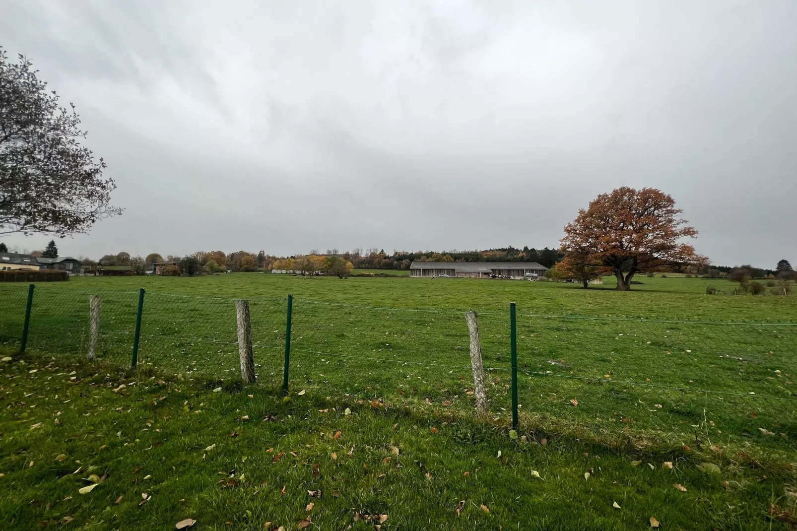 Charmante habitation à Lierneux pour 10 adultes avec Bains à remous-Gebieden zomer 1km