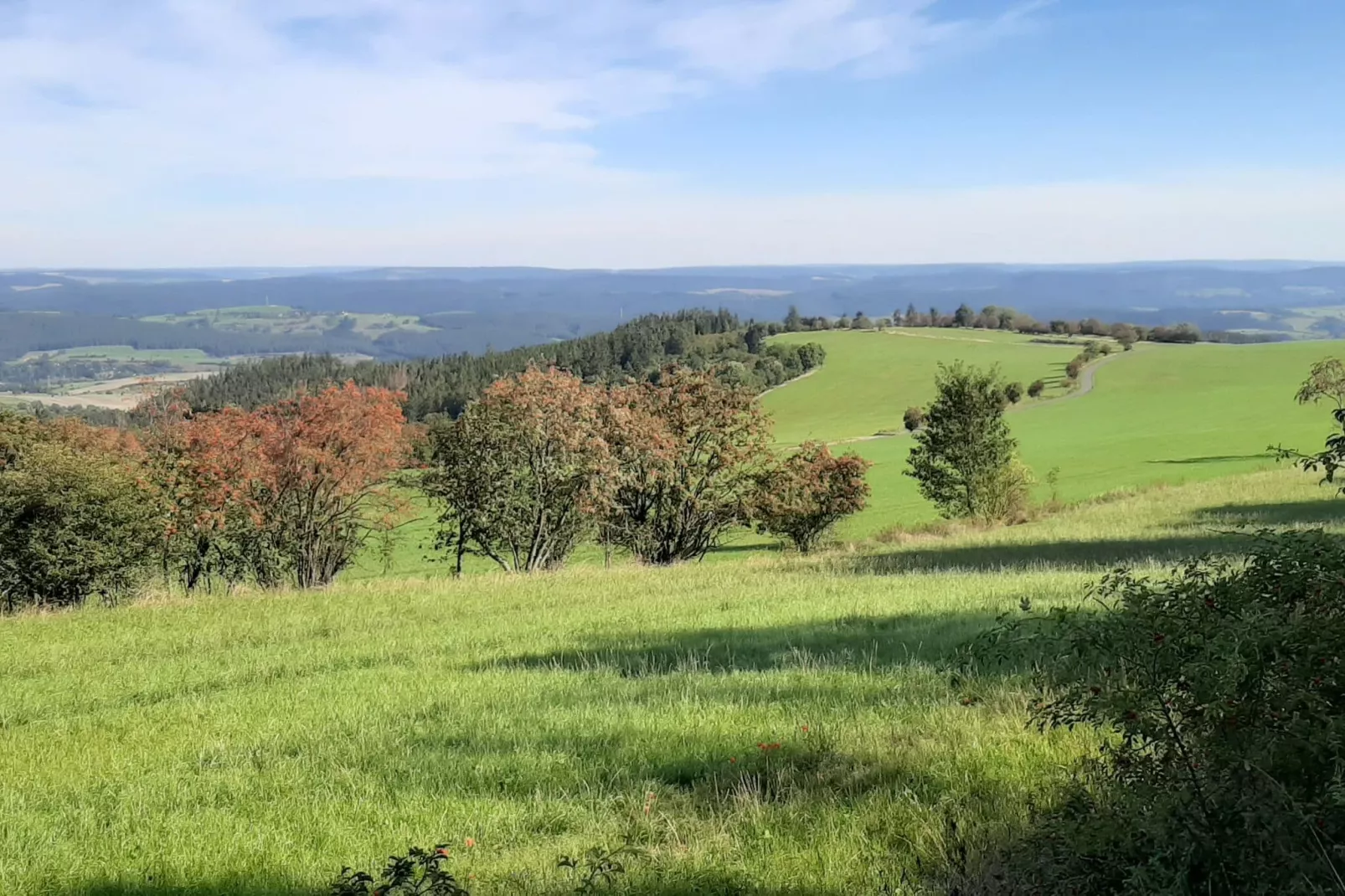 Gasse-Gebieden zomer 5km