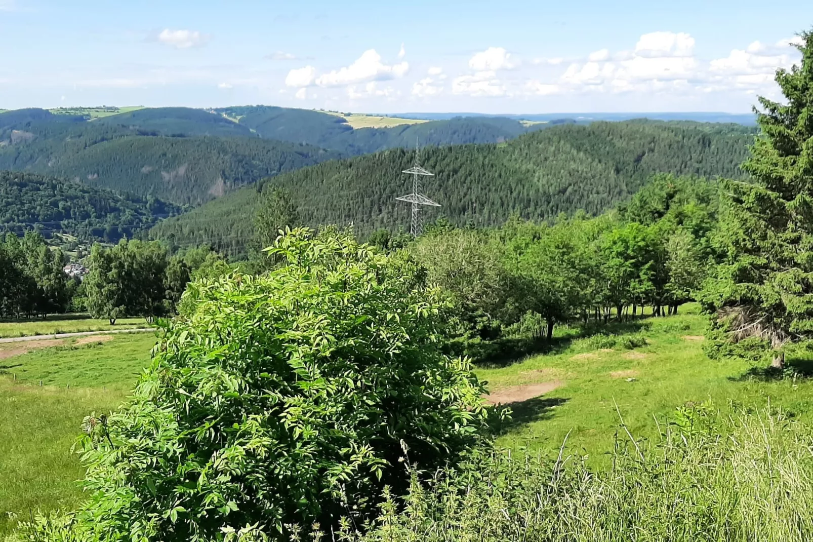 Gasse-Gebieden zomer 5km