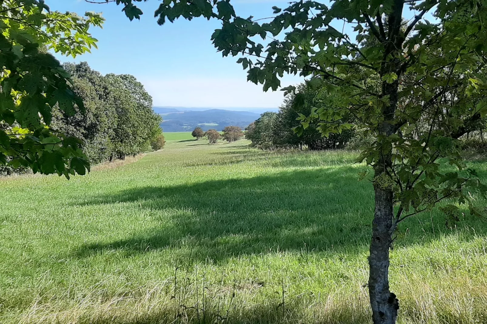 Gasse-Gebieden zomer 20km