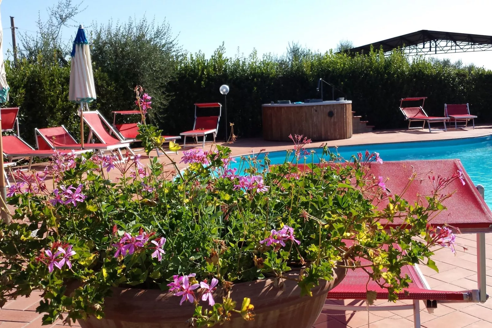 Casa Vacanze Podere Settefrati - Montaione-Sfeer