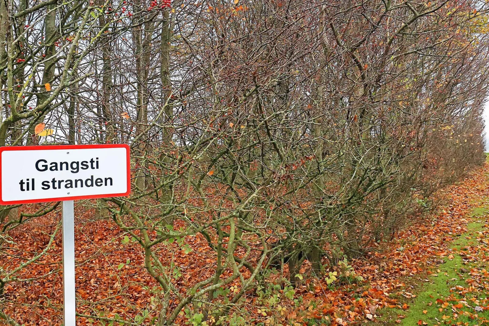 Gezellig kusthuisje bij Jegindo-By Traum-Waterzicht