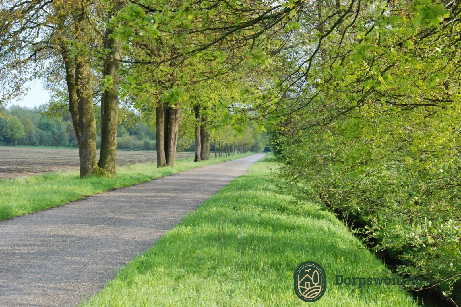 Dorpswoning De Plek-Gebieden zomer 1km