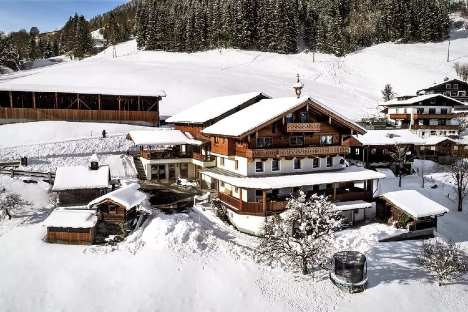 Käferhof Bramberg am Wildkogel-Exterieur winter