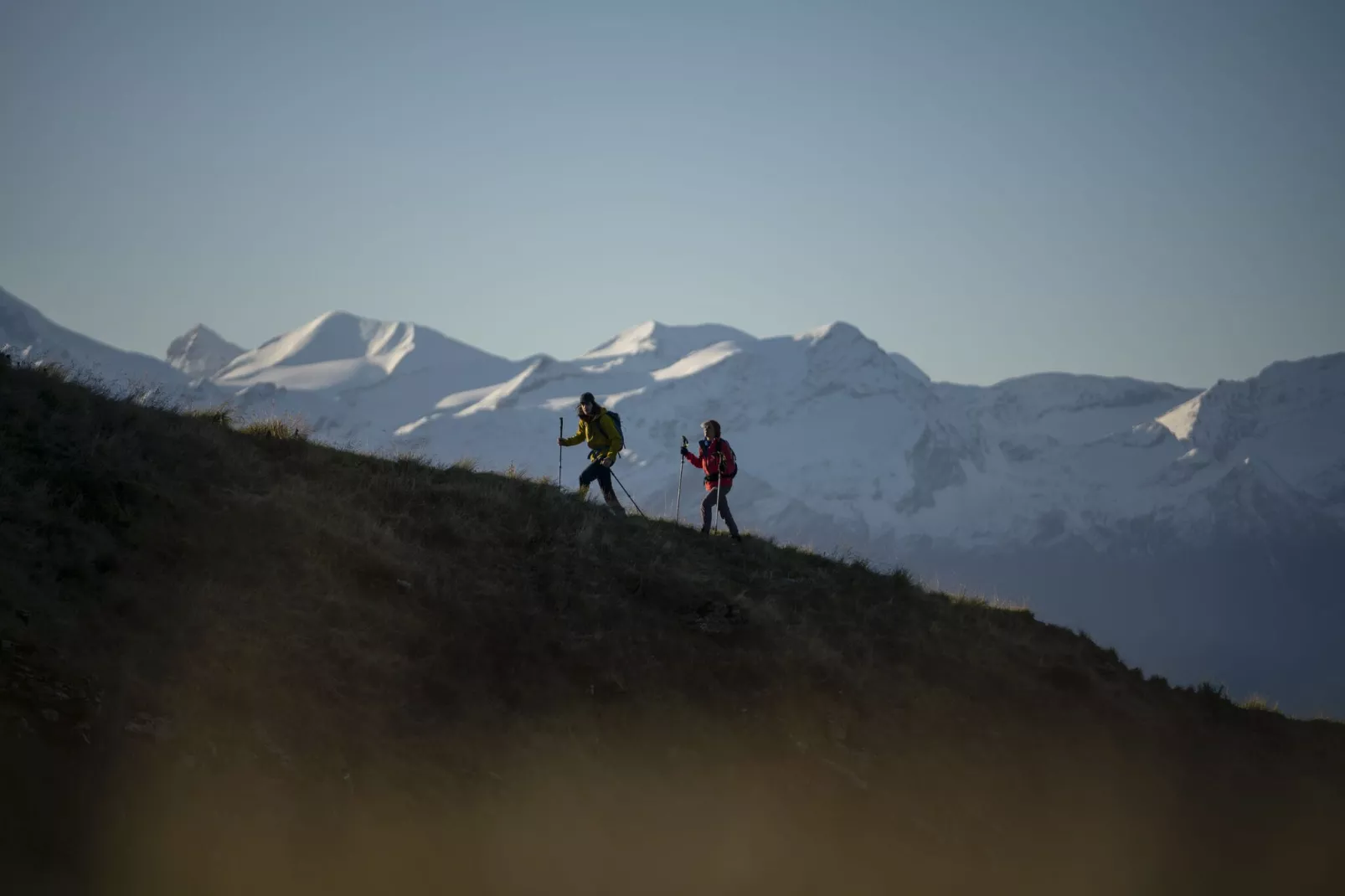 Saalbach Suite 1-Gebieden zomer 5km