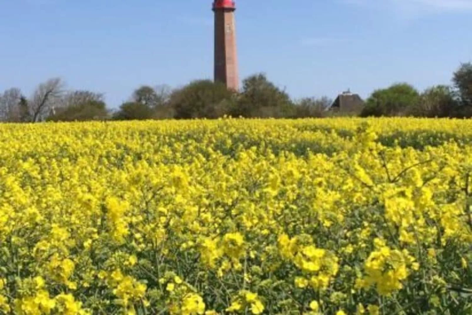 FeWo Sturmeck 67 qm Typ P5 1 OG-Gebieden zomer 1km