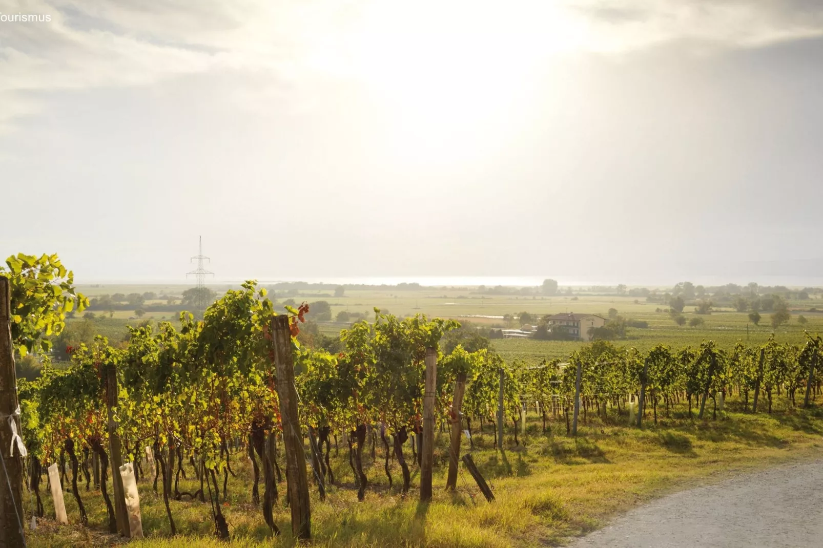 Pannonia M03-Gebieden zomer 5km