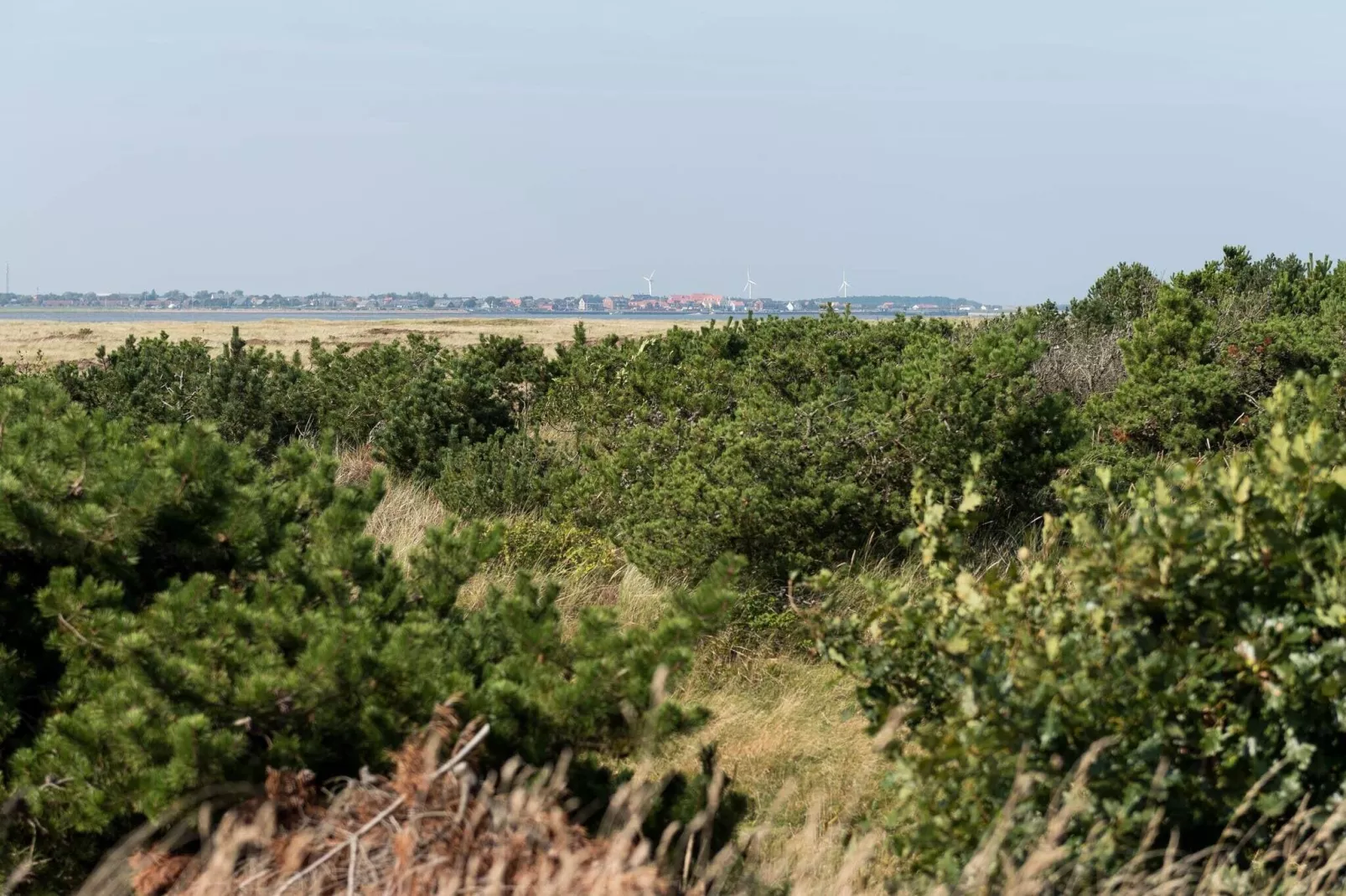 4 sterren vakantie huis in Fanø-Buitenlucht