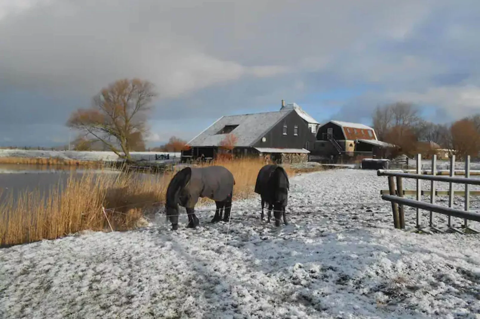 Romantiek aan het Meer I-Gebied winter 20km