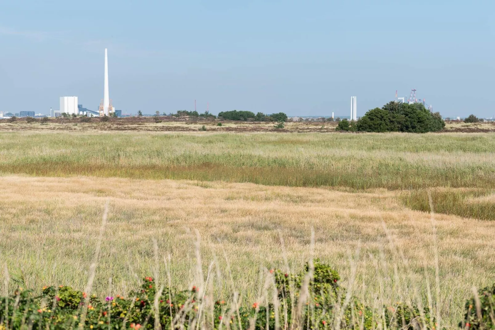 4 sterren vakantie huis in Fanø-Buitenlucht