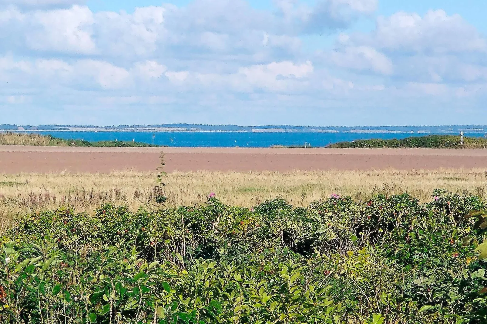 5 sterren vakantie huis in Vinderup-Waterzicht