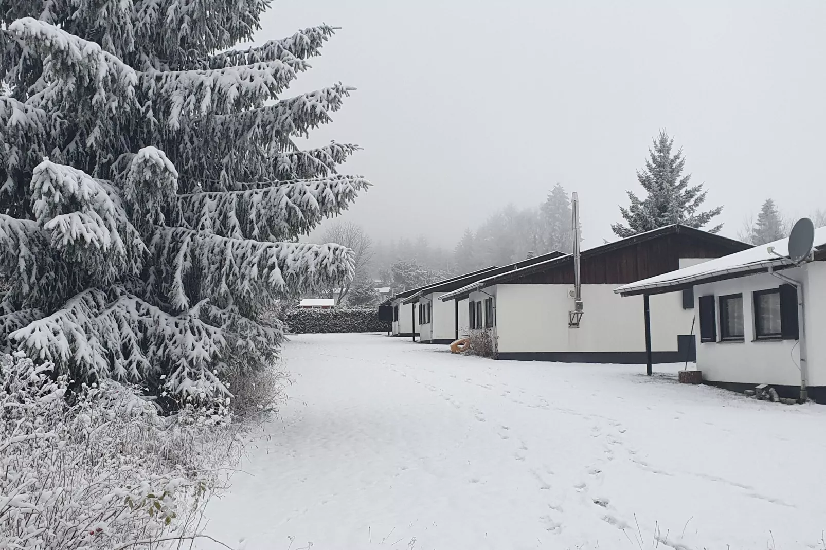 Brouwer Ferienhaus-Tuin winter