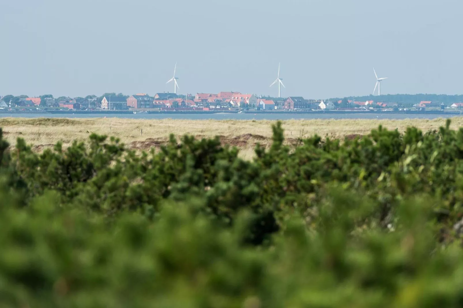 4 sterren vakantie huis in Fanø-Buitenlucht