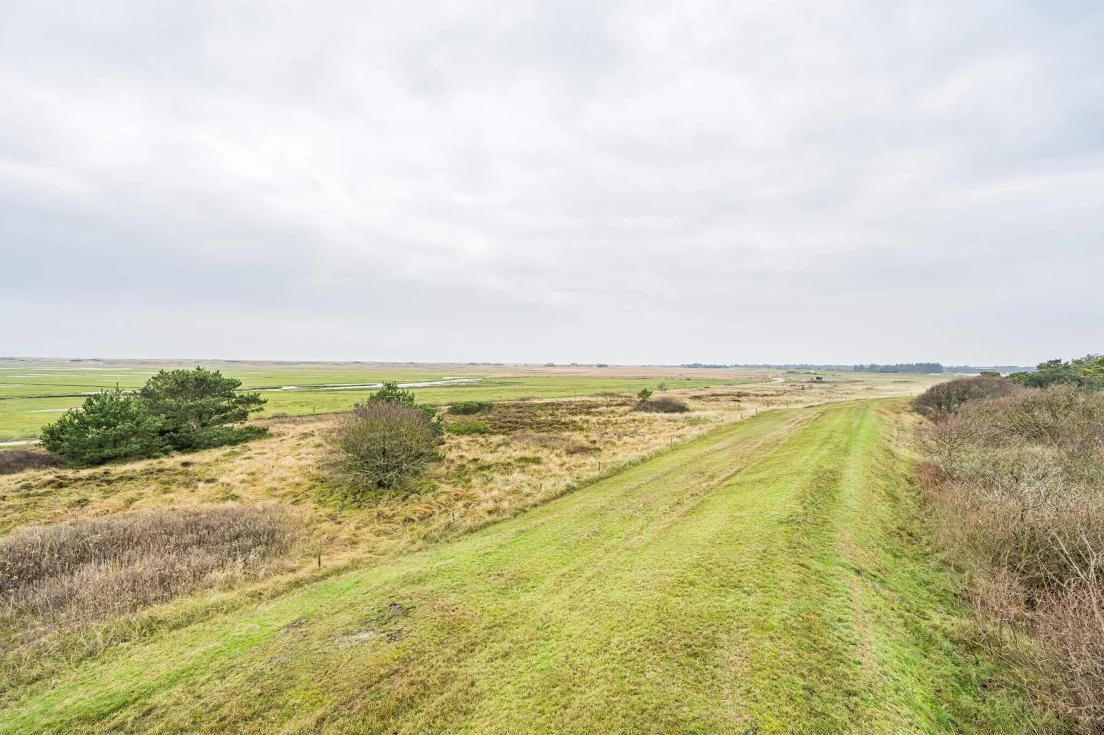 4 persoons vakantie huis in Blåvand