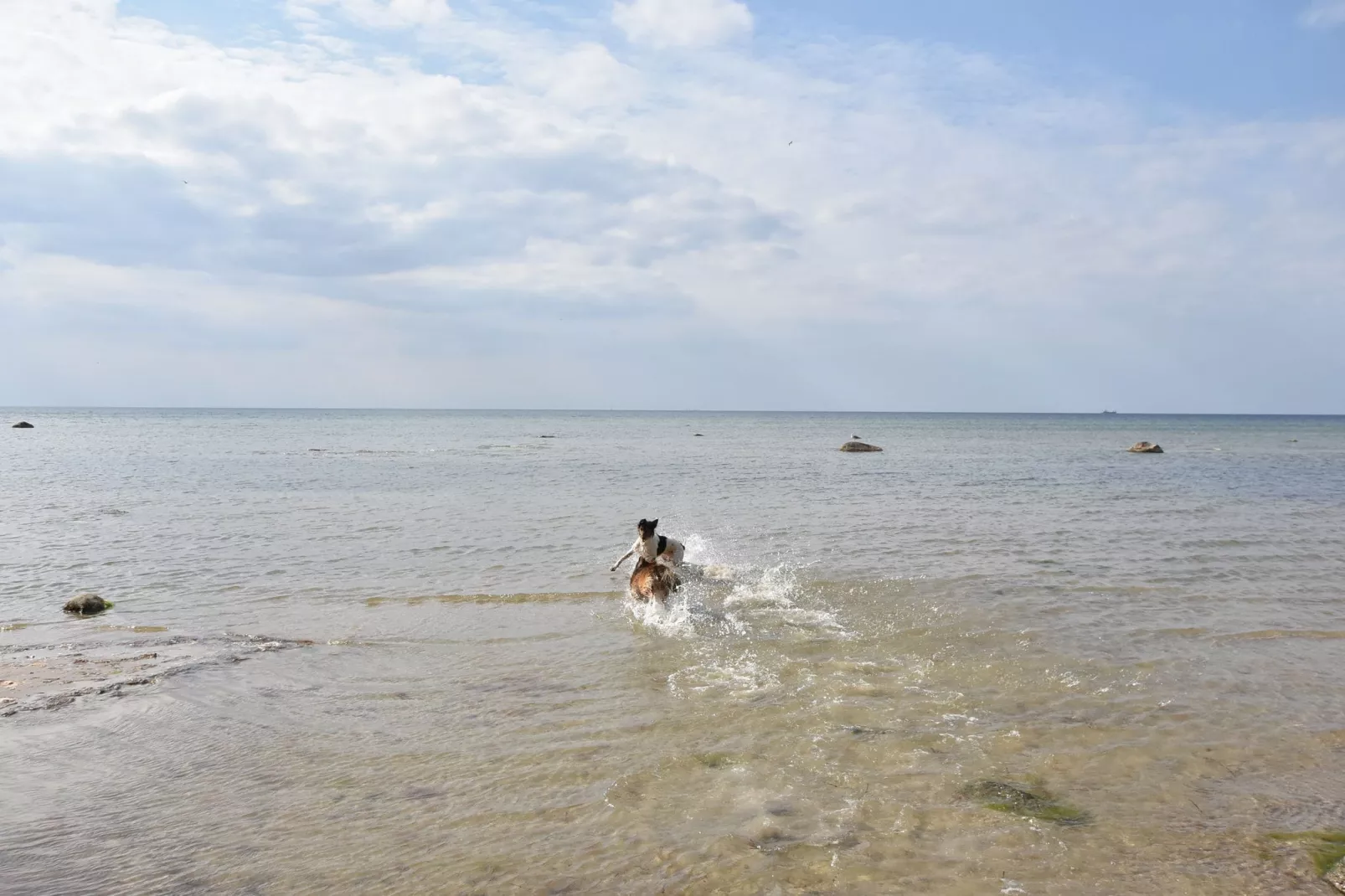 Bungalow Andrea am Salzhaff mit Garten-Gebieden zomer 1km