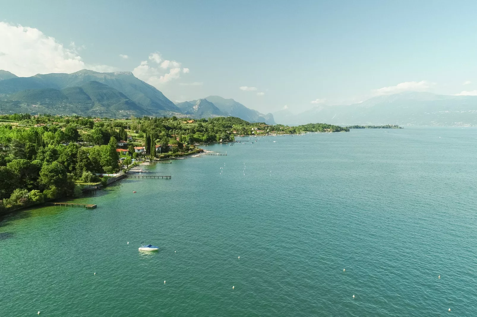 Salici-Gebieden zomer 1km