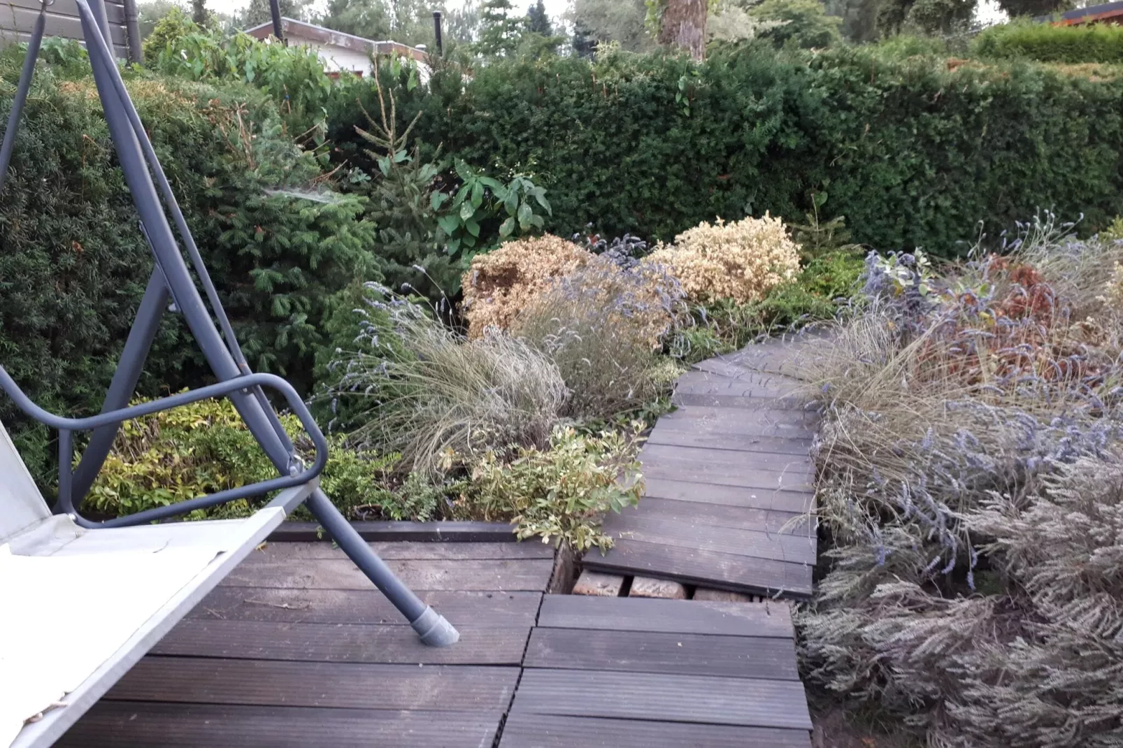 Chalet De Vier Jaargetijden 74-Tuin winter
