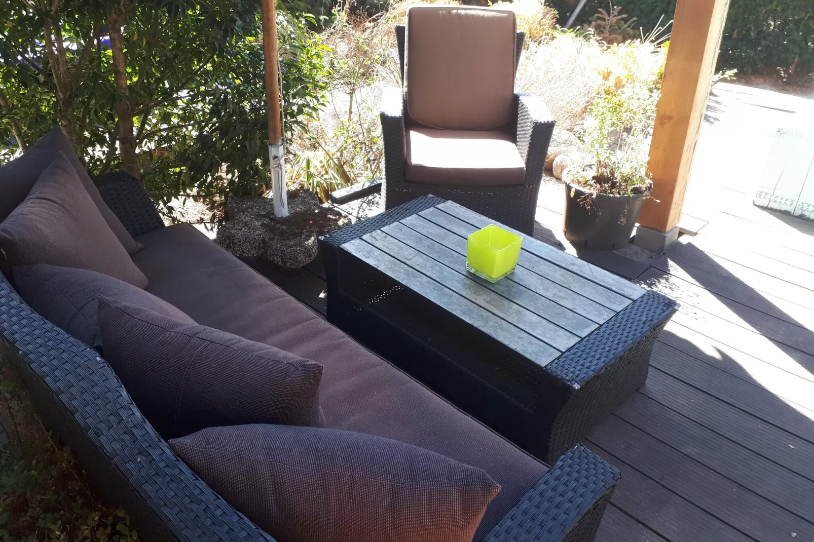 Chalet De Vier Jaargetijden 74-Tuin winter