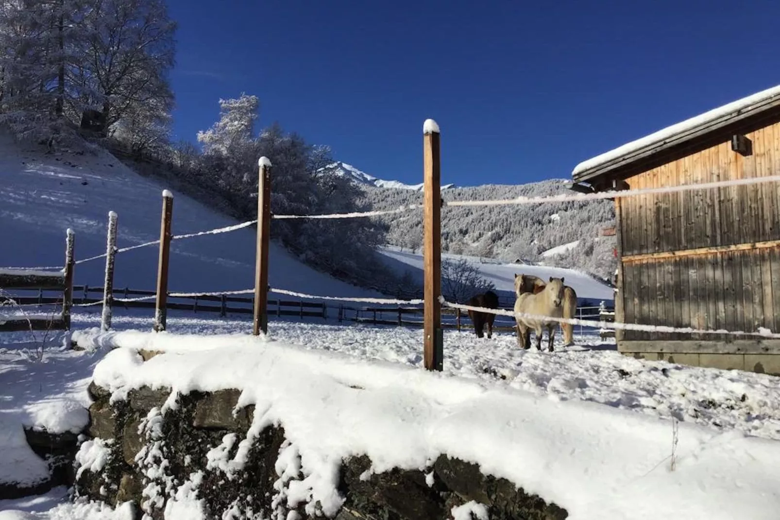 Ferienhaus Peitler-Exterieur winter