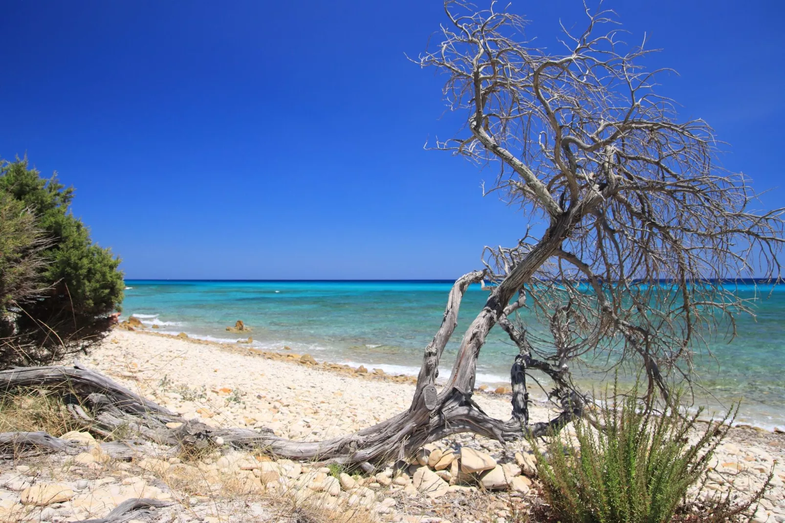 Le Residence del Golfo Orosei Bilo 4-Waterzicht